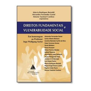 DIREITOS FUNDAMENTAIS E VULNERABILIDADE SOCIAL