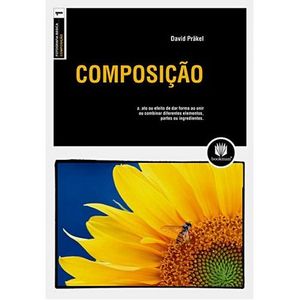COMPOSICAO - COLECAO FOTOGRAFIA BASICA V01