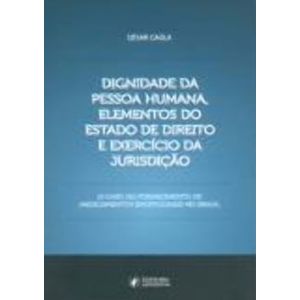 DIGNIDADE DA PESSOA HUMANA, ELEMENTOS DO ESTADO DE DIREITO E EXERCICIO DA JURISDICAO