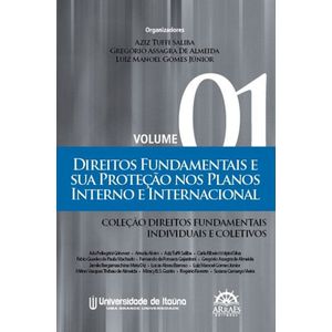 DIREITOS FUNDAMENTAIS E SUA PROTECAO NOS PLANOS INTERNO E INTERNACIONAL - V01