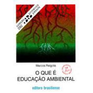 QUE E EDUCACAO AMBIENTAL, O
