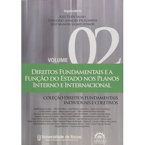 DIREITOS FUNDAMENTAIS E A FUNCAO DO ESTADO NOS PLANOS INTERNO E INTERNACIONAL - V02