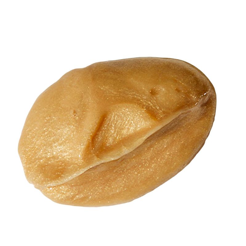 1263559290