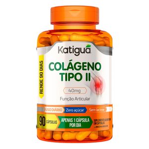 COLAGENO TIPO 2 40MG KATIGUA 90CAP