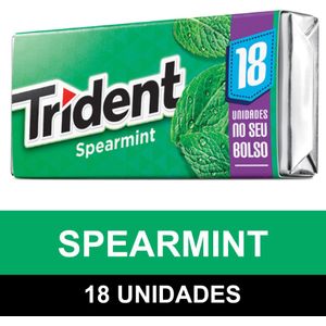 TRIDENT SPEARMINT 18UN