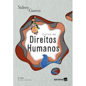 CURSO DE DIREITOS HUMANOS
