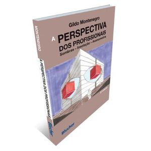 PERSPECTIVA DOS PROFISSIONAIS, A