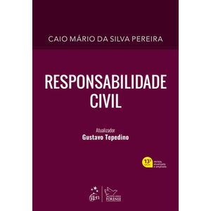 RESPONSABILIDADE CIVIL