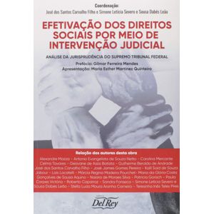 EFETIVACAO DOS DIREITOS SOCIAIS POR MEIO DE INTERVENCAO JUDICIAL