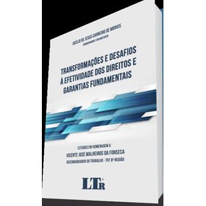 TRANSFORMACAO E DESAFIOS A EFETIVIDADE DOS DIREITOS E GARANTIAS FUNDAMENTAIS