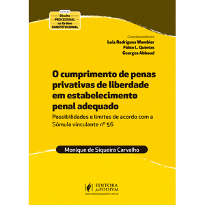 CUMPRIMENTO DE PENAS PRIVATIVAS DE LIBERDADE EM ESTABELECIMENTO PENAL ADEQUADO