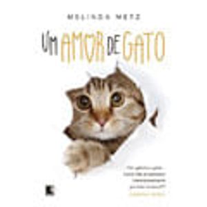 UM AMOR DE GATO