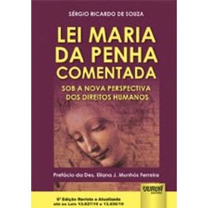 LEI MARIA DA PENHA COMENTADA
