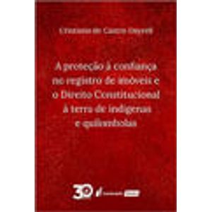 PROTECAO A CONFIANCA NO REGISTRO DE IMOVEIS E O DIREITO CONSTITUCIONAL A TERRA DE INDIGENAS E QUILOMBOLAS, A