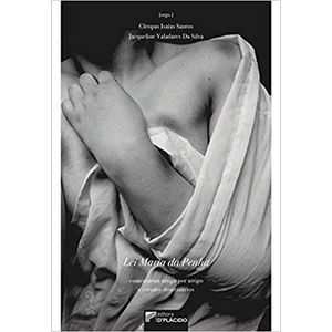 LEI MARIA DA PENHA - COMENTARIOS ARTIGO POR ARTIGO E ESTUDOS DOUTRINARIOS
