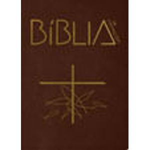 BIBLIA DE APARECIDA - EDICAO MARROM