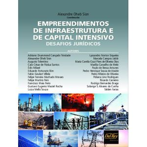 EMPREENDIMENTOS DE INFRAESTRUTURA E DE CAPITAL INTENSIVO - DESAFIOS JURIDICOS