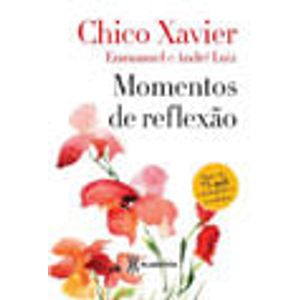 MOMENTOS DE REFLEXAO