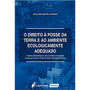 DIREITO A POSSE DA TERRA E AO AMBIENTE ECOLOGICAMENTE ADEQUADO, O