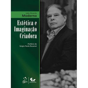 ESTETICA E IMAGINACAO CRIADORA