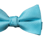 image-bb5cc0803c8c4d2d949b25f6919ba7bd