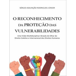 RECONHECIMENTO DA PROTECAO DAS VULNERABILIDADES, O