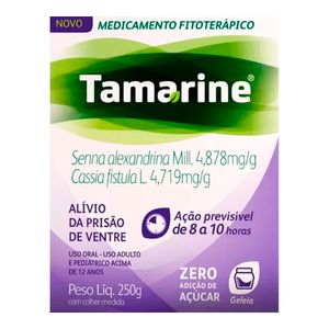 TAMARINE GELEIA ZERO AÇUCAR 250G