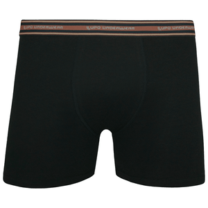 Cueca Lupo Boxer com Elastano Plus Size 653-003