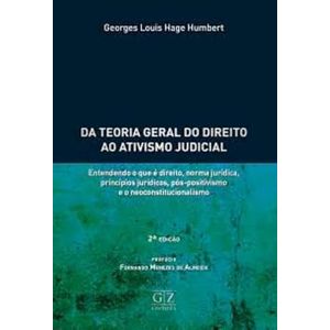 DA TEORIA GERAL DO DIREITO AO ATIVISMO JUDICIAL