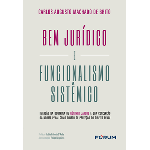 BEM JURIDICO E FUNCIONAMENTO SISTEMICO