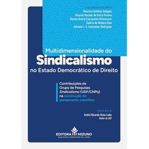 MULTIDIMENSIONALIDADE DO SINDICALISMO NO ESTADO DEMOCRATICO DE DIREITO