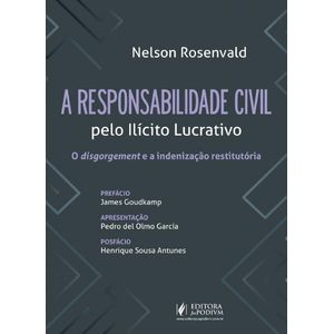 RESPONSABILIDADE CIVIL PELO ILICITO LUCRATIVO, A