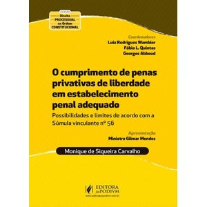 CUMPRIMENTO DE PENAS PRIVATIVAS DE LIBERDADE EM ESTABELECIMENTO PENAL ADEQUADO