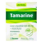 TAMARINE GELEIA 250G