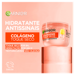 GARNIER ANTISSINAIS HIDRATANTE FACIAL 85G