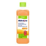 HIDRALYTE LARANJA NATULAB 500ML