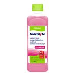 HIDRALYTE TUTTI FRUTTI NATULAB 500ML