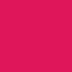 NIINA SECRETS EUDORA BATOM LIQUIDO SKINNY MATTE PINK PEONIA