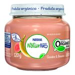 PAPINHA NESTLE ORGANICA GOIABA E BANANA 120G