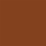LOREAL EXPERTISE PROTETOR SOLAR FPS60 COR 5.0  40G