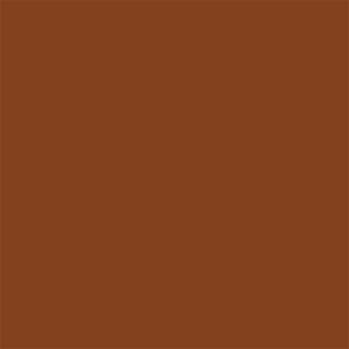 LOREAL EXPERTISE PROTETOR SOLAR FPS60 COR 5.0  40G