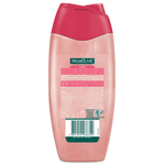SABONETE LIQUIDO PALMOLIVE NATUREZA SECRETA UCUUBA 250ML