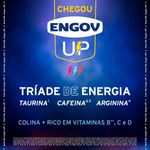 ENGOV UP MELANCIA 269ML