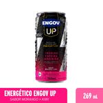 ENGOV UP MORANGO E KIWI 269ML