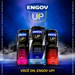 ENGOV UP MORANGO E KIWI 269ML