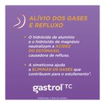 GASTROL TC 240ML