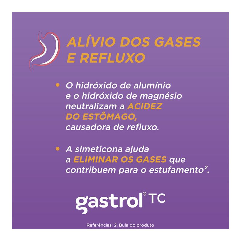 GASTROL TC 240ML