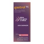 GASTROL TC 240ML