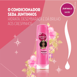 CONDICIONADOR SEDA TIANA JUNTINHO 300ML