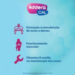 ADDERA CAL 1.000UI 90CPR